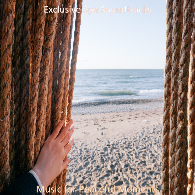 Music for Peaceful Moments cover art