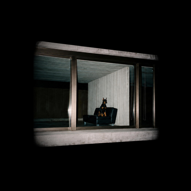 what the fuck is up cover art