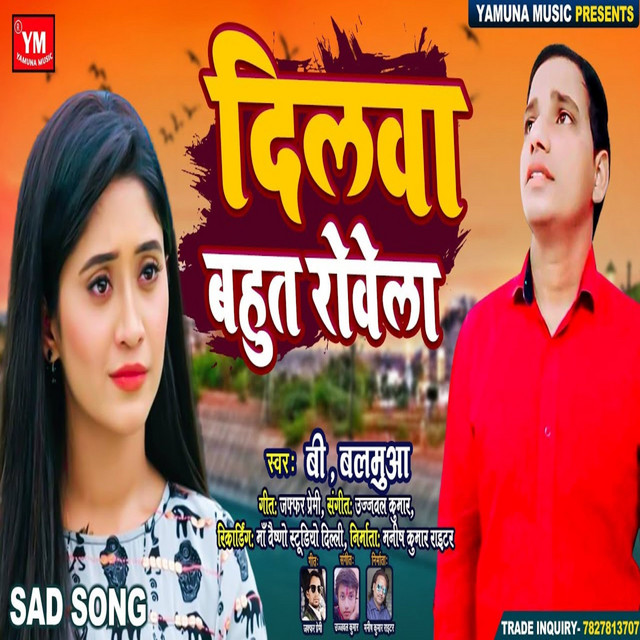 Dilwa Bahut Rowela album image