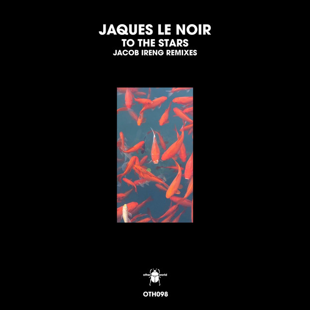 To the Stars - Jacob Ireng Remix cover art