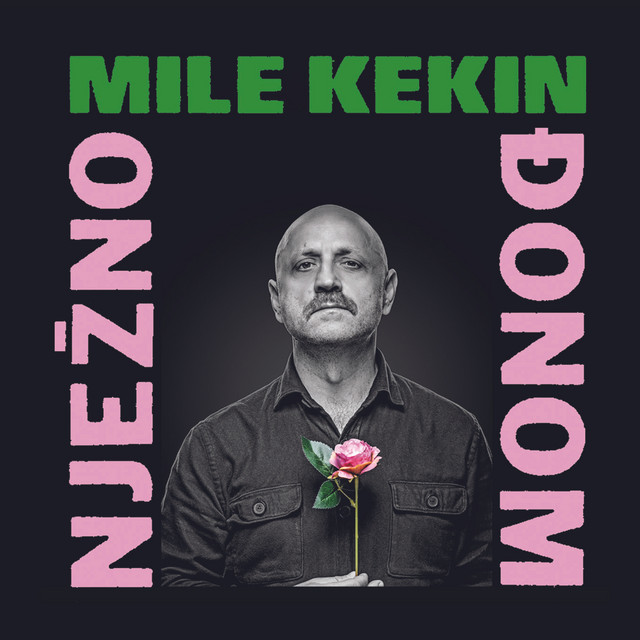 Nježno đonom cover art