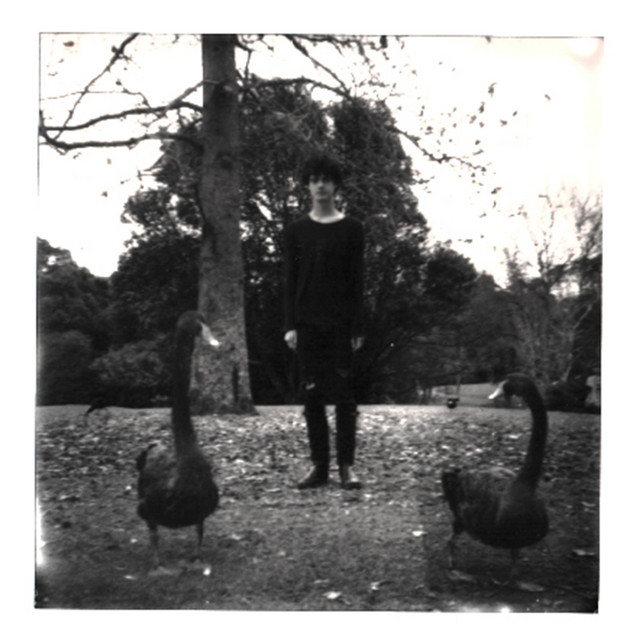Daydreamer cover art