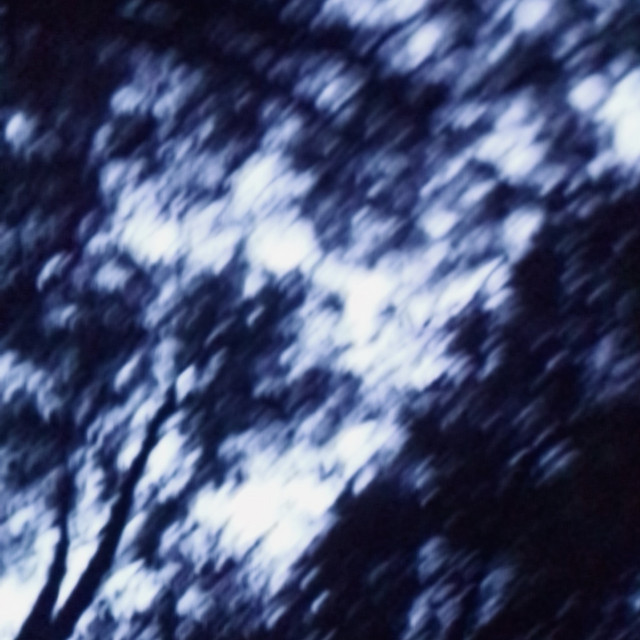 Till' The Autumn Fall With You (Rough Mix) cover art