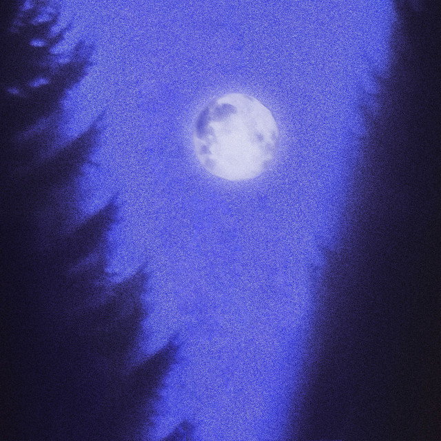 Moondance cover art