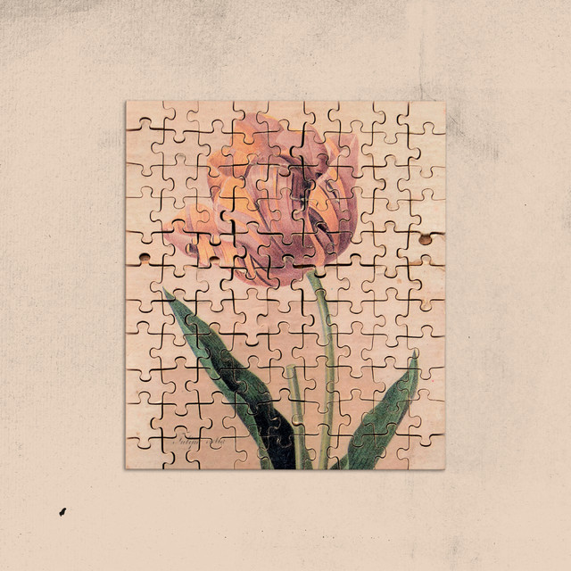 Jealousy Tulip cover art