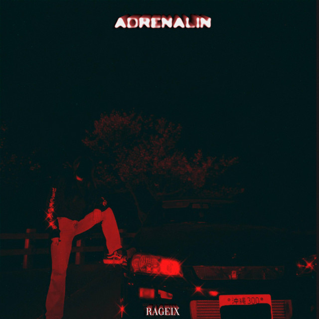 Обкладинка треку ADRENALIN