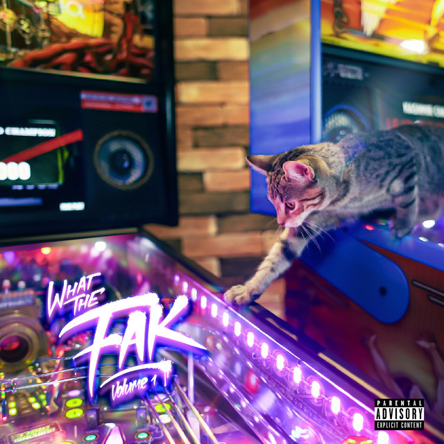 What The Fak vol.1 cover art