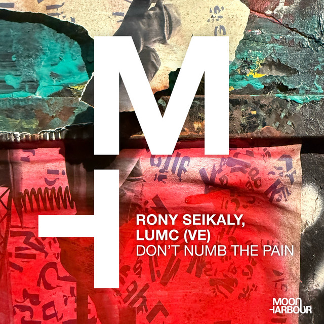 Don't Numb the Pain cover art