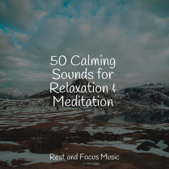 50 Calming Sounds for Relaxation & Meditation - Album by Massage ...