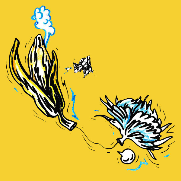 Обкладинка Indieveed — Whirl