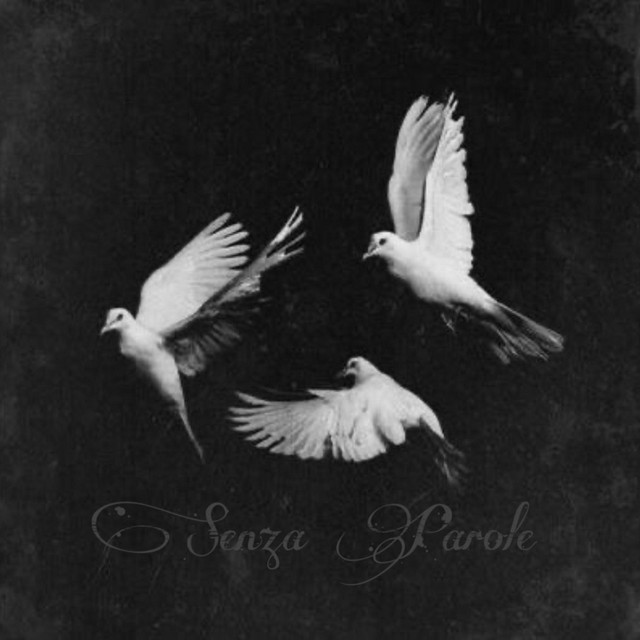 Bella oder Stella cover