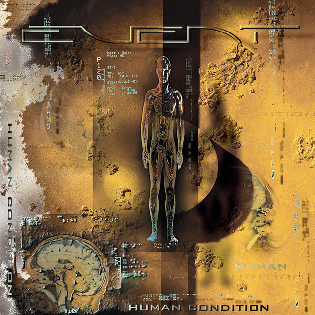 洋楽 Human Condition