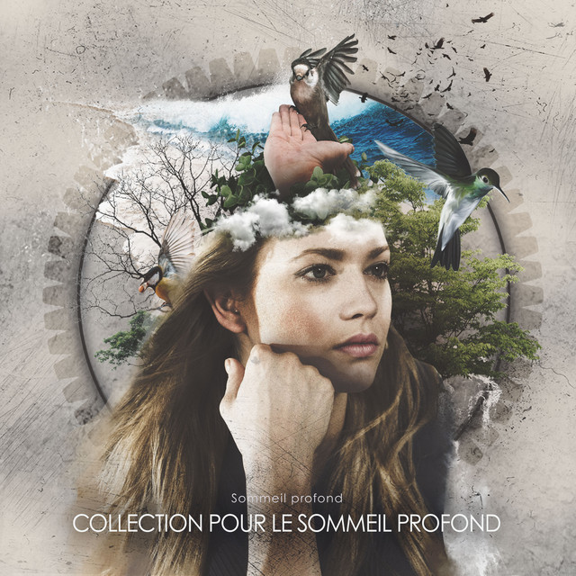 Collection pour le Sommeil Profond cover art