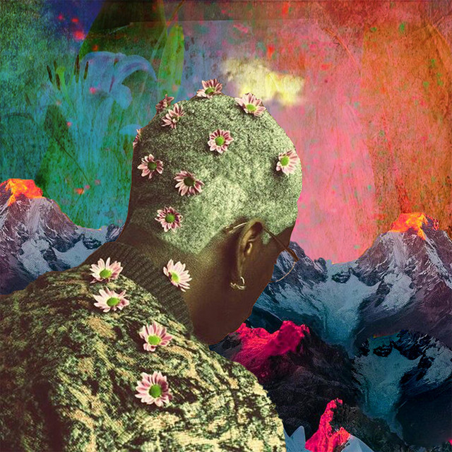 Where the Flowers Bloom (Redux) cover art