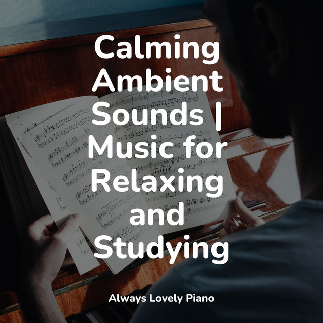 Calming Ambient Sounds | Music for Relaxing and Studying cover art