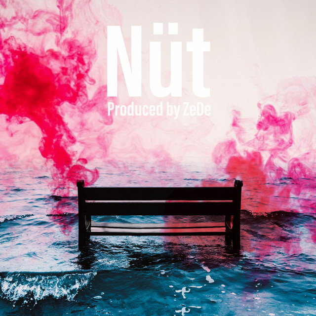Nüt cover art