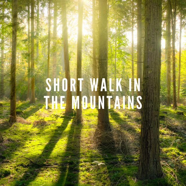 Short walk in the Mountains cover art