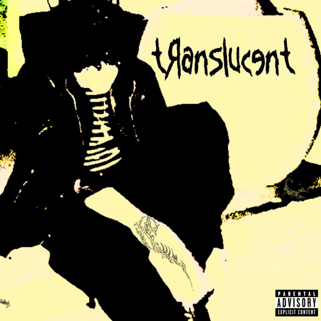 Translucent cover art