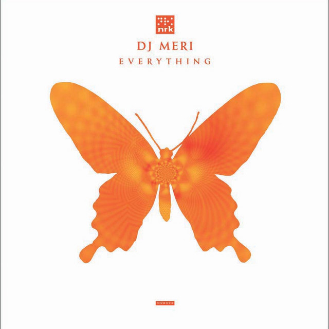 Everything cover