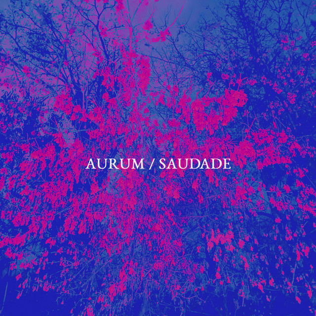 Saudade cover art