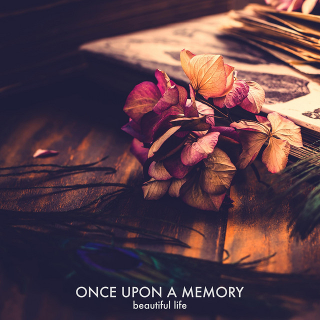 Once Upon A Memory