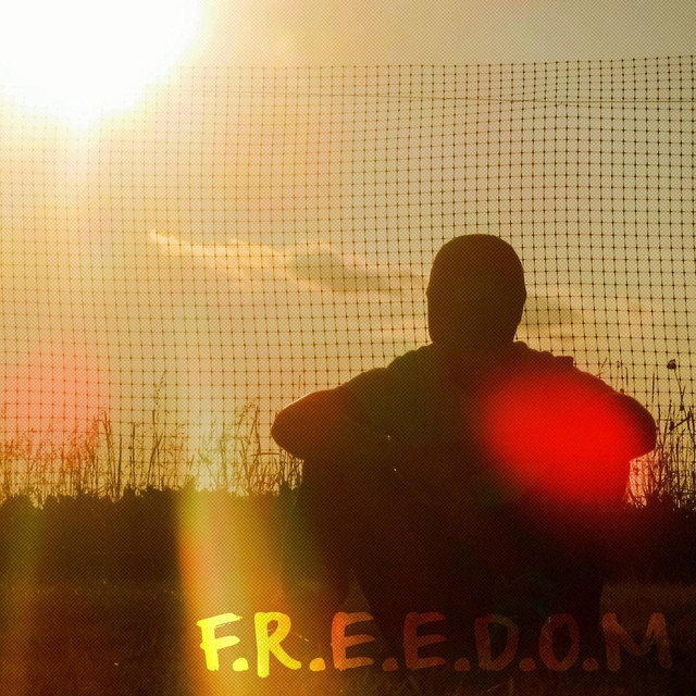 F.R.E.E.D.O.M
