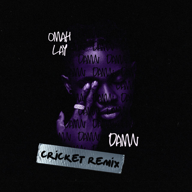 Damn (Cricket Remix) cover