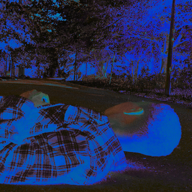 Bohemian. cover art
