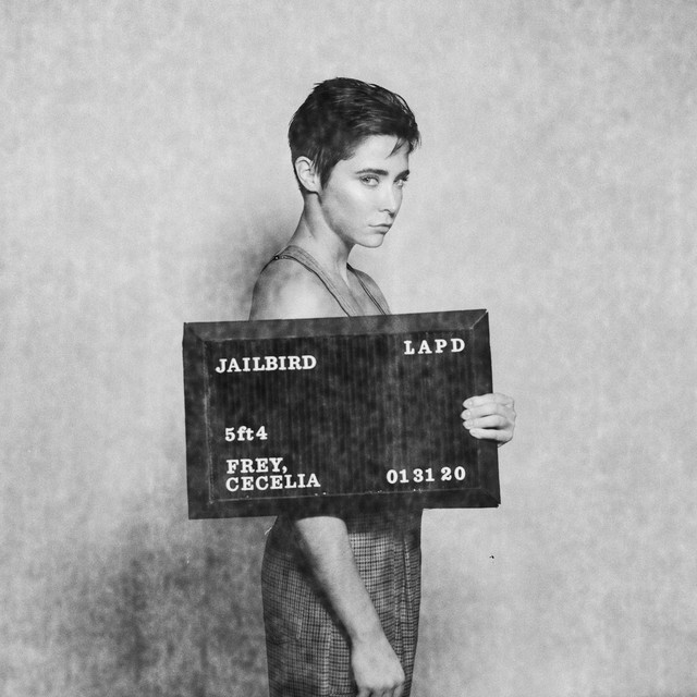 Jailbird cover art