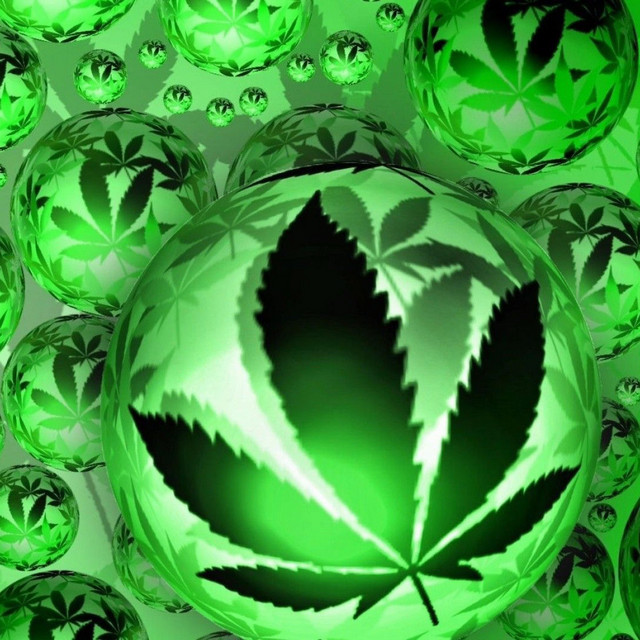 Thc cover art