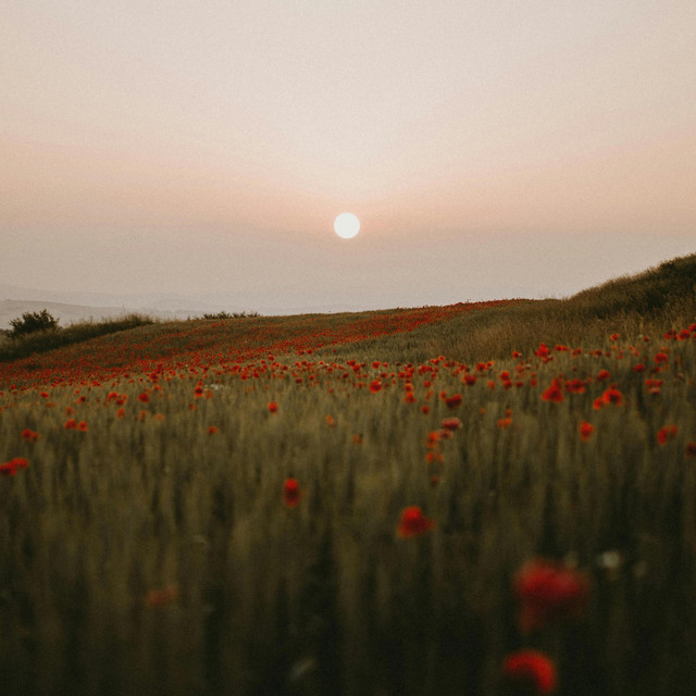 Crystal Fields cover art
