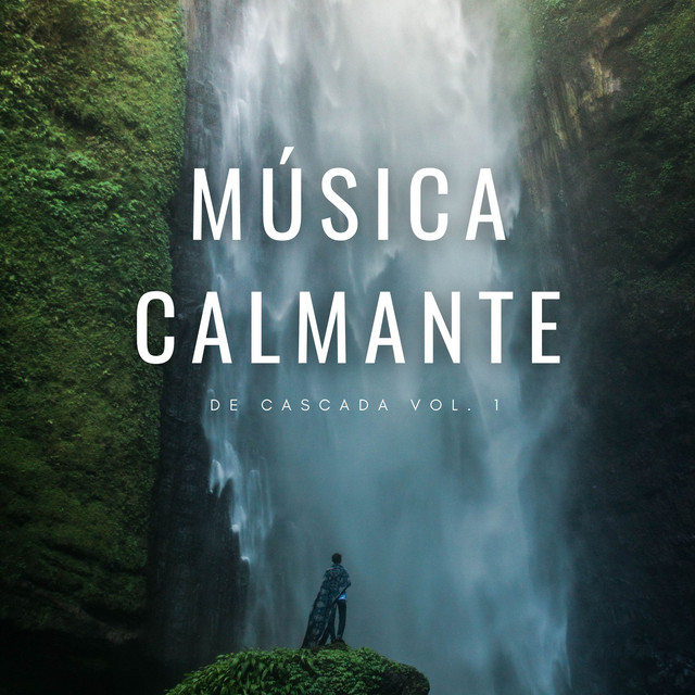 Música Calmante De Cascada Vol. 1 cover art