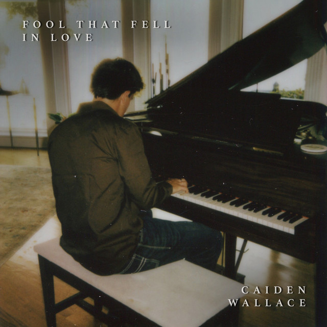 Fool That Fell In Love cover art