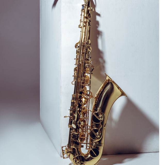 Saxotone