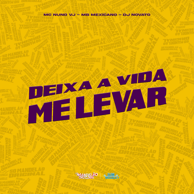 Deixa a Vida Me Levar