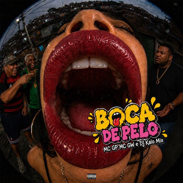 Boca de Pelo album image