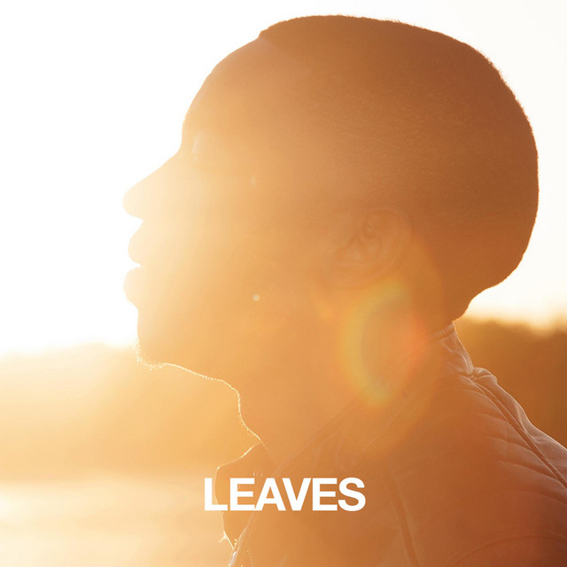 Leaves cover