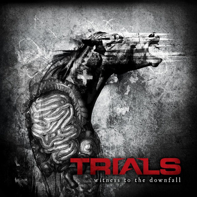 Witness to the Downfall cover art