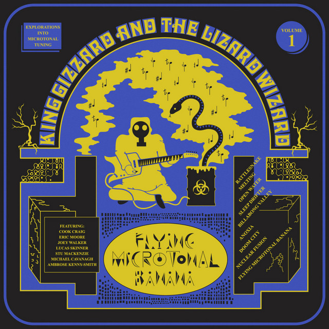Flying Microtonal Banana cover art