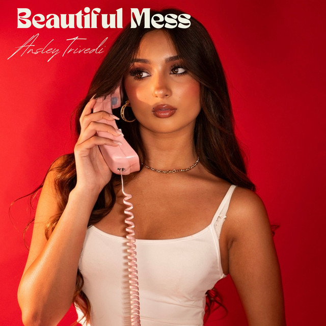 Beautiful Mess - song and lyrics by Ansley Trivedi | Spotify