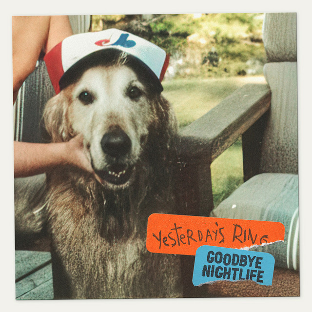 Goodbye Nightlife cover