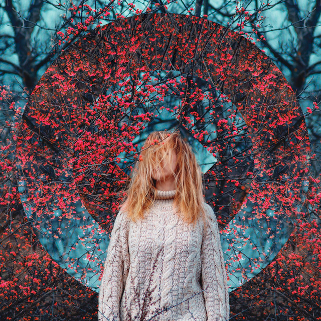 Veins of Mountains II cover art
