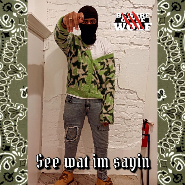See Wat Im Sayin cover art