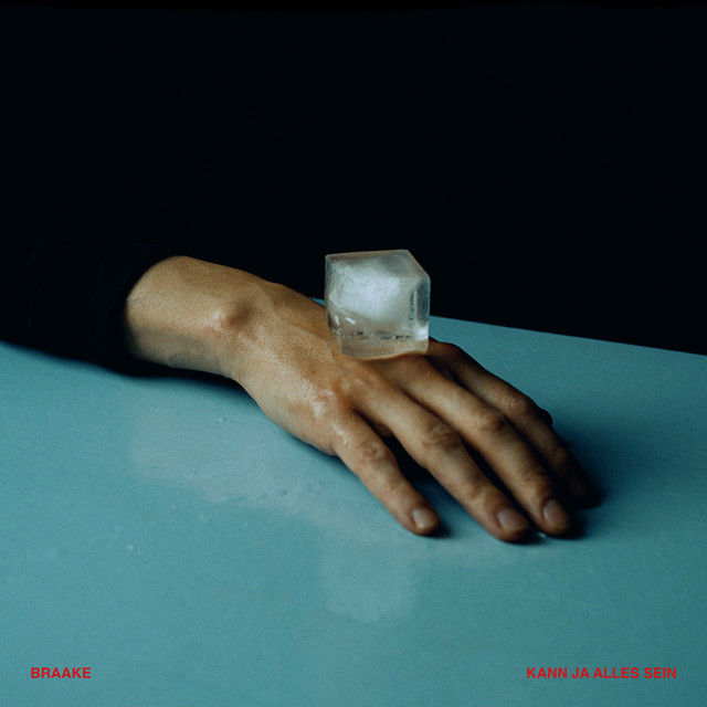 Kann ja alles sein cover art