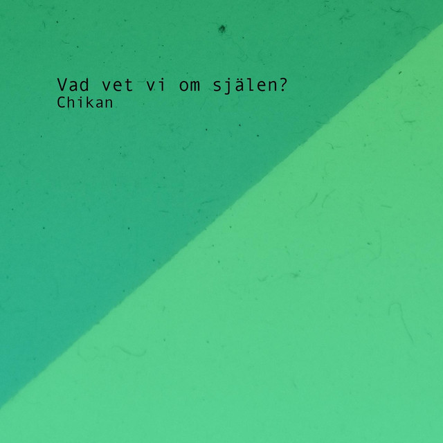 Vad vet vi om själen? cover