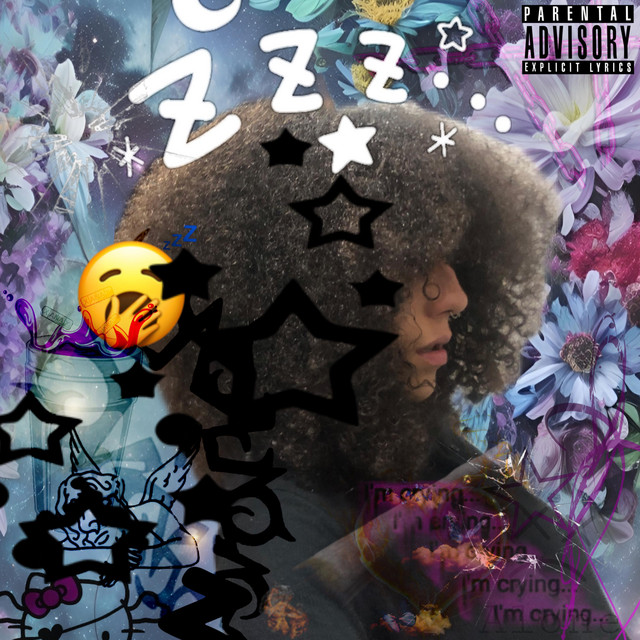 Zzz cover art