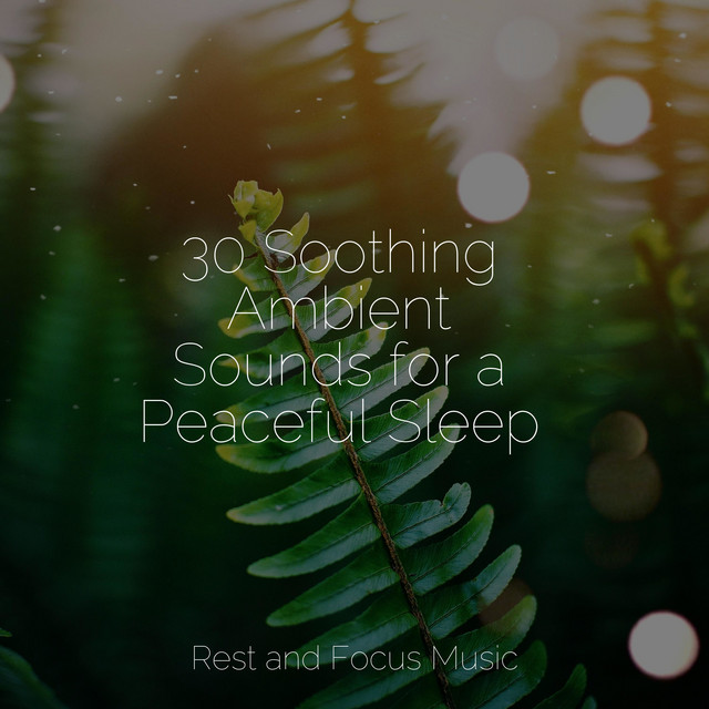 30 Soothing Ambient Sounds for a Peaceful Sleep - Album by Meditation ...