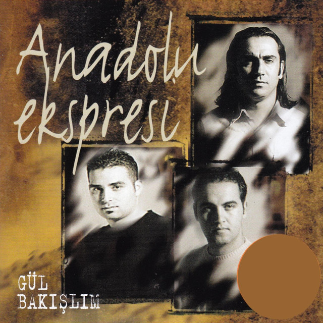 Gül Bakışlım cover art