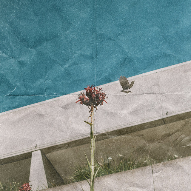 Weightless cover art