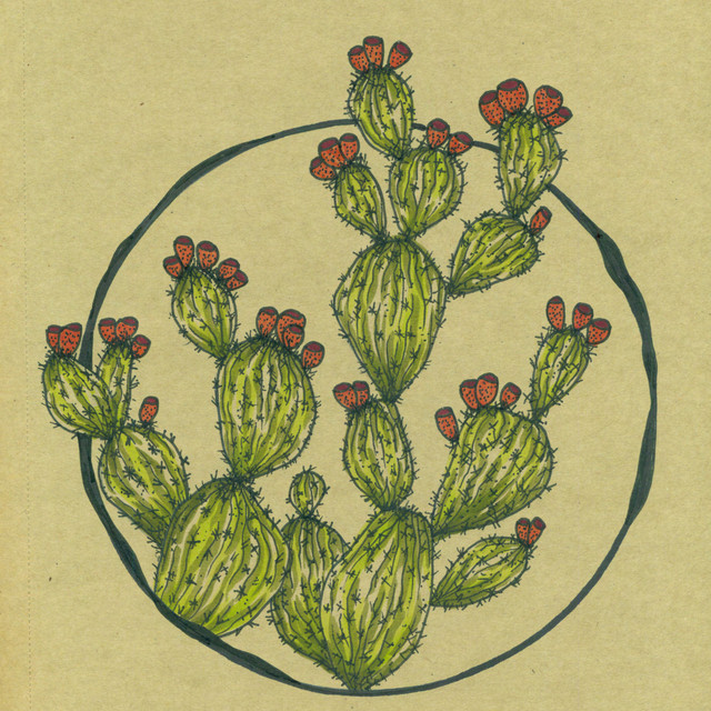 Dreamy Draw cover art